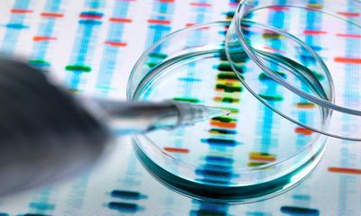 ‘The situation has become appalling’: fake scientific papers push research credibility to crisis point