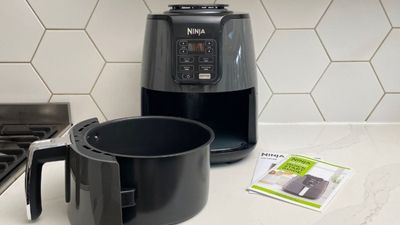 I've tried dozens of air fryers, but here's why Ninja's cheapest model is the one I use every day