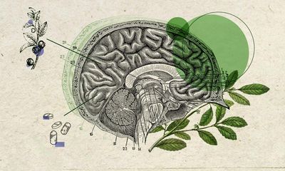 Big brain boost? What science says about the power of nootropics to enhance our minds