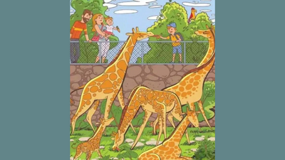 Only those with a sharp vision can spot the butterfly and pineapple in under 10 seconds