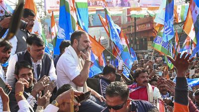 Congress stands for Jal-Jungle-Jamin of tribal people, says Rahul Gandhi