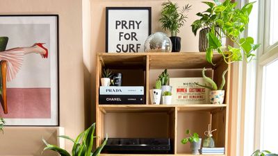 What is bookshelf wealth? Everything you need to know about the cozy design trend