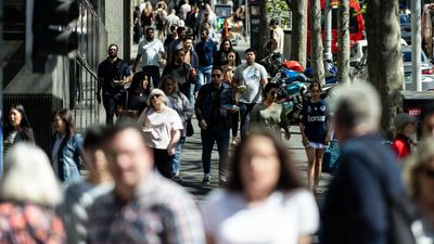 Labour market holding up as job ad levels stabilise