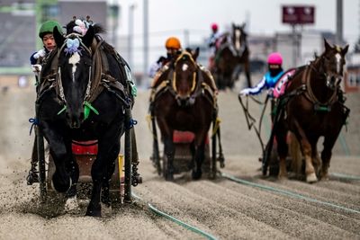'Suspense' Of Slowest Horse Race Wins New Fans In Japan