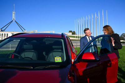 Labor’s fuel efficiency standards mean all new cars could be EVs by 2035, industry group says