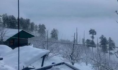 Himachal Pradesh: Thick blanket of snow covers Shimla