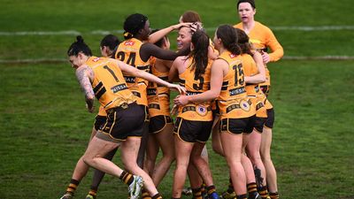 Hawthorn appoint Daniel Webster as new AFLW coach