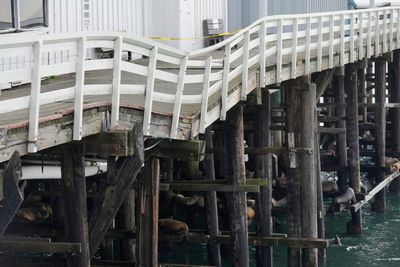 ‘We love our piers’: storms and rising seas threaten California’s coastal landmarks