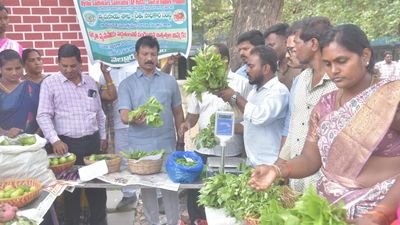 Organic Vegetable stall set up in Nellore Collectorate