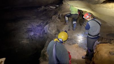 Sharks in the park? New fossil discoveries reveal Kentucky's ocean past