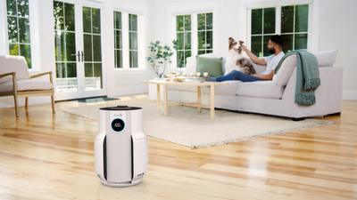 Shark's latest air purifier lasts 5 years without a new filter, saving you time and money
