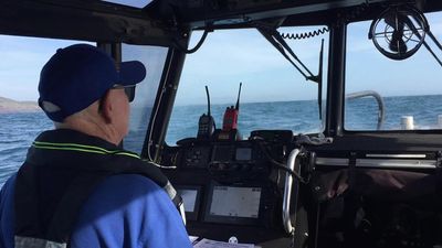 Paddleboarders safely ashore as marine search ends