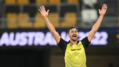Aussies recall big guns for T20 series in New Zealand