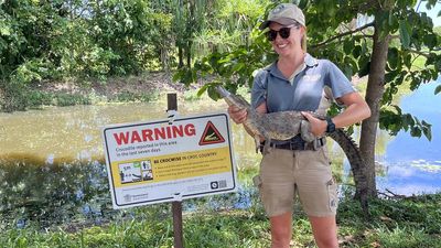 Small croc removed from Qld creek after unusual feast