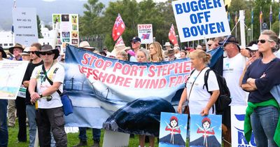 'We can do better than this': Hunter anti-windfarm groups rally in Canberra