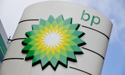 BP CEO calls for pragmatism on green aims as profits halve