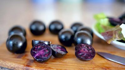 A new purple tomato is available to gardeners. Its color comes from snapdragon DNA