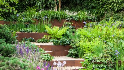 7 metal garden edging ideas – low maintenance ways to define your backyard