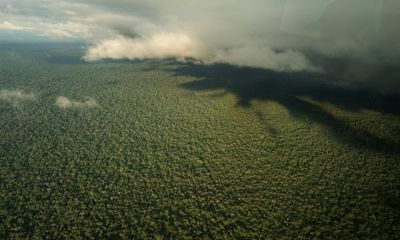 Forty days lost in the rainforest: Colombia’s miracle rescue