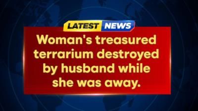 Reddit user's husband destroys treasured terrarium, causing marital strife