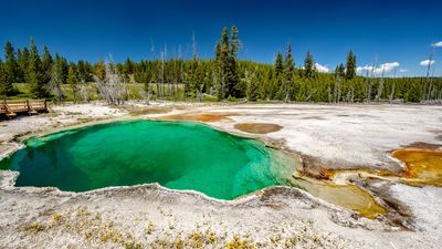 A quick guide to hot spring safety in Yellowstone National Park