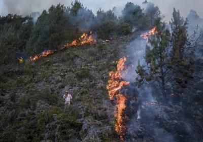 Deadly Wildfires in Chile Linked to Climate Change and Drought