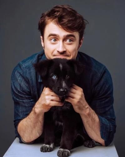 Daniel Radcliffe expresses interest in romantic comedy with Quinta Brunson