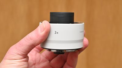 Canon Extender RF 2x review: double your telephoto reach and close-up magnification