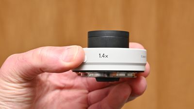 Canon Extender RF 1.4x review: a revamped teleconverter for the EOS R-system
