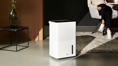 Duux Bora Smart 20L Dehumidifier review: an efficient device that extracts moisture in hours