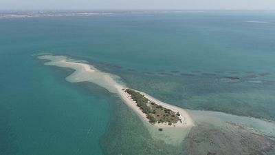 T.N. pioneers a model for saving the sinking islands in the Gulf of Mannar