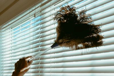 Dust busters: what’s really in household dust and how to get rid of it