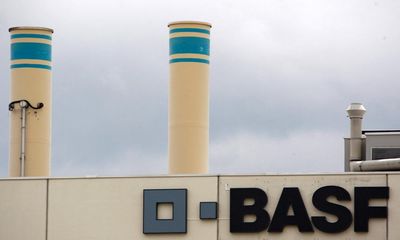 German firm BASF urged to quit Xinjiang over ‘gross abuses’ of Uyghurs