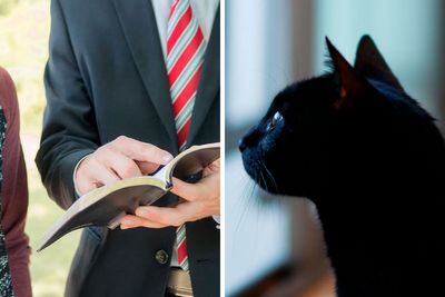 A Man And His Cat Got Hilarious Revenge On Door-To-Door Evangelists