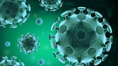 Monkey fever cases rising in India: Know what it is and how to stay safe