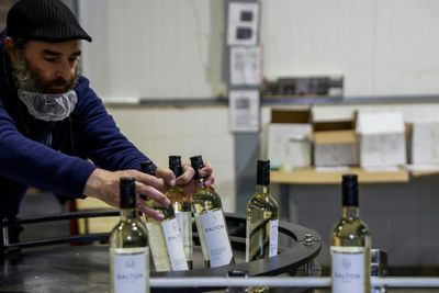 Israeli Wineries Near Lebanon Fear Ruined Crop As War Looms