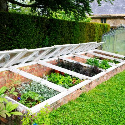 5 ways to use a cold frame in your garden – the greenhouse alternative for small gardens