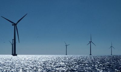 Danish windfarm firm Ørsted to axe up to 800 jobs and pause dividend