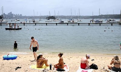 Calls for more netted swimming spots in Sydney harbour after shark attack