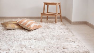 How to get laundry detergent out of carpet — spills solved