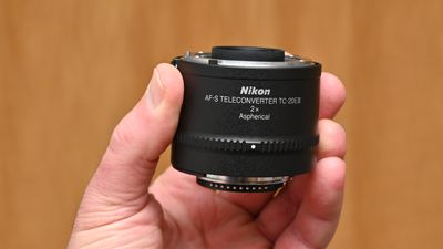 Nikon AF-S TC-20E III review: double your reach without blowing the bank
