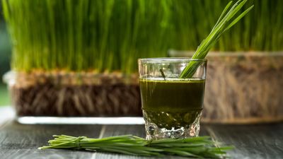 How to grow wheatgrass – for a superfood smoothie full of vitamins