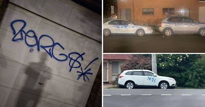 Graffiti spree leaves trail of damage in Belmont: homes, cars vandalised