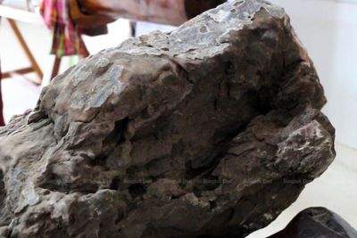 110m-year-old dinosaur fossils found