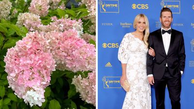 Syd and Shea McGee's hydrangea bush is a stunning display — here's how to grow the blooms at home