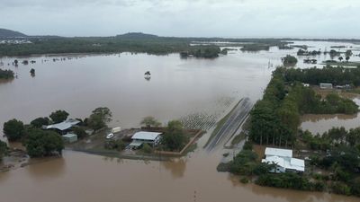 Farmers in far north Qld face long road to recovery