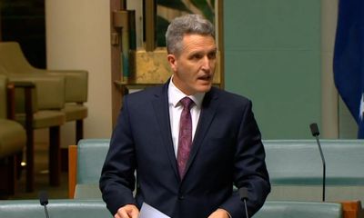 Labor MP breaks ranks with party over Israel’s ‘unconscionable’ bombardment of Gaza