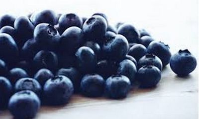 Researchers explain why blueberries are blue