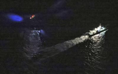 Orcas trapped in sea ice near Japan now freed