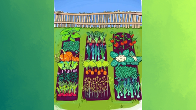 Play detective and help finding the lost earphones in the farm